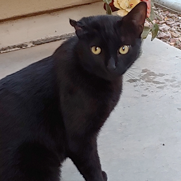 Meet your Posher, Kimberly - Picture 4 of 9